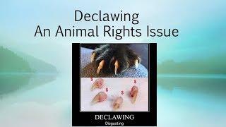 Anti-declawing Presentation by Roberto Bonelli at 2018 Anti-Fur Society Conference