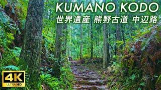 【4K Japan Walk】Kumano Kodo in the rain A beautiful landscape of nature and history
