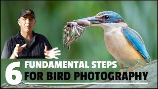 SIX FUNDAMENTAL steps to take HIGH QUALITY bird photographs.
