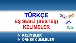 Eş Sesli Kelimeler ve Örnek Cümleler