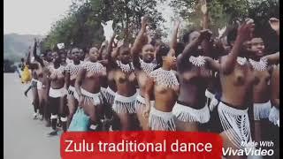 Zulu maidens dance during amatshitshi celebration