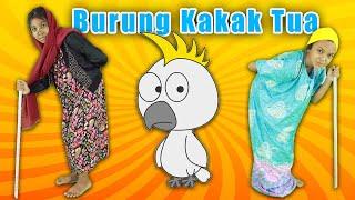 BURUNG KAKAK TUA  Lagu Anak dan Balita Indonesia