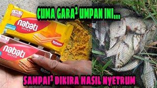 Beginilah jadinya kalau mancing pakai umpan ini II gacornya gak ketulungan #210