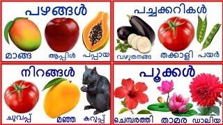 fruits vegetables colours and flowers names in Malayalam പഴങ്ങൾ  പച്ചക്കറികൾ നിറങ്ങൾ പൂക്കൾ  പേരുകൾ