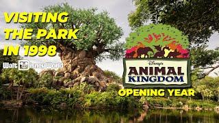 Restored Home Video Visiting Disneys Animal Kingdom in 1998 HD 50FPS