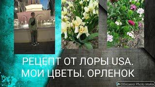 ПРОВЕРЯЕМ РЕЦЕПТ ОТ ЛОРЫ USA. МОИ ЦВЕТЫ. ПАРК ОРЛЁНОК.