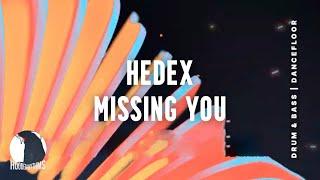 Hedex ft. A Little Sound - Missing You