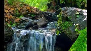 Sounds for Sleeping - Calming River Sounds - Relaxing Nature Video