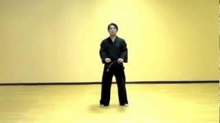 Chon Ji - Tae Kwon Do Pattern