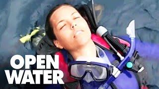 Susan Wakes Up Alone  Open Water