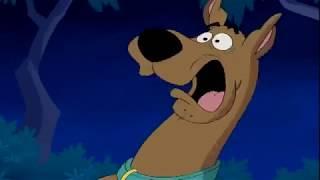 5 Scooby doo DVDs Trailer