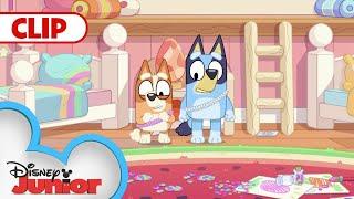 The Easter Bunny   Bluey  @Disney Junior