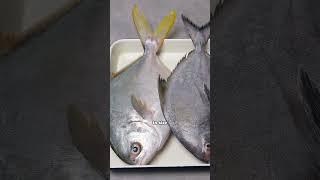 What The Fish 3 Kinds of Pomfret
