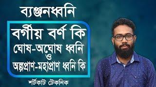 ব্যঞ্জনধ্বনি কি  বর্গীয় বর্ণ কি  ঘোষ অঘোষ ধ্বনি কি  অল্পপ্রাণ মহাপ্রাণ ধ্বনি কি