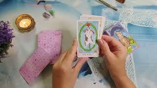 CAT TAROTПолный обзор колоды