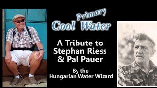 Cool Primary Water -- A Tribute to Stephan Riess and Pal Pauer performed by LT Bobby Ross