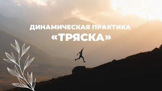 ДИНАМИЧЕСКАЯ ПРАКТИКА  “ТРЯСКА”