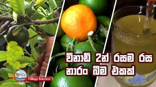 Naran Juice විනාඩි 2න් නාරං බීම එකක් හදාගමු  Village Kitchen Food Recipes තුන පහ Thuna Paha