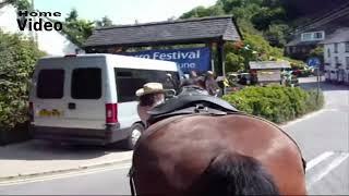 Home Videos - Horse Fart Nr.4
