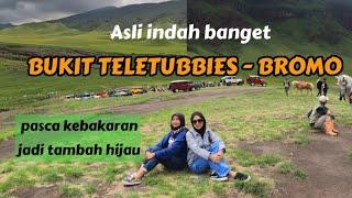 BUKIT TELETUBBIES BROMO II setelah terbakar jadi semakin hijau dan indah pemandangannya