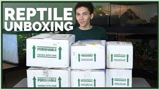 Unboxing 7 Pet Reptiles - New Snakes Lizards and Turtles