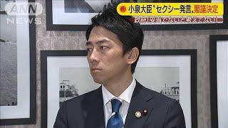 小泉大臣「セクシー」発言　政府が答弁書を閣議決定191015