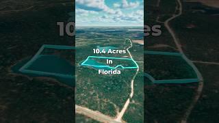 FLORIDA Land for Sale • 10.4 Acres with a Spring-Fed Pond • LANDIO