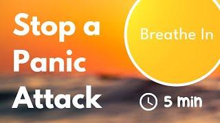 Stop a Panic Attack Now with this Breathing Exercise  7.5 Breaths Per Minute   44 Second Timer