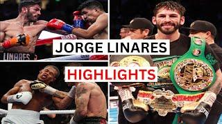 Jorge Linares 29 KOs Highlights & Knockouts