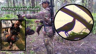 BERBURU AYAM HUTAN SAWIT Part 33  Berbagi Lebih Indah