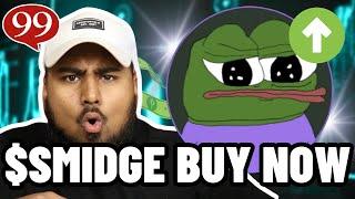 SMIDGE MEME COIN IS THE NEXT PEPE COIN? Should You Buy $SMIDGE?