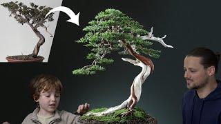 A Wild Tree Yamadori Becomes a Bonsai