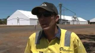 Unseasonal rains at harvest costing grain growers