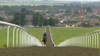 Newmarket - Made for the Racehorse Short version