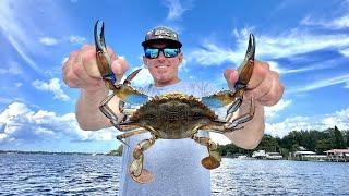 Giant Blue Crabs in Fresh Water Catch & Cook