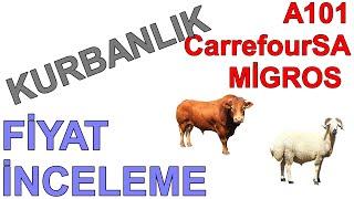 KURBANLIK FİYAT İNCELEME 23 MAYIS 2024 - A101  CARREFOURSA  MİGROS