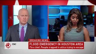 Molly Thomas Houston Flooding CBC News Network