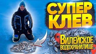 На такую рыбалку хотят все  Зимняя рыбалка на мормышку  ICE FISHING 