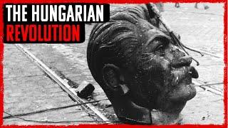 The Hungarian Revolution of 1956  History Explained