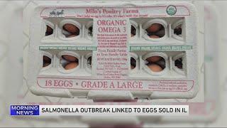 Eggs sold in Illinois Wisconsin recalled following salmonella outbreak