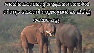 അരികൊമ്പന്റെ ആക്രമണത്തിൽ നിന്നും കഷ്ടിച്ച് രക്ഷപെട്ടു കോന്നി സുരേന്ദ്രൻ  Arikomban latest news