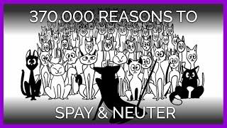 370000 Reasons to Spay and Neuter  An Animated Short