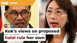 Kok’s views on proposed halal rule her own not PH says PM