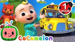  1 HOUR LOOP  Wheels On The Bus  Fun Learning Cocomelon Loops  Nursery Rhymes & Kids Songs