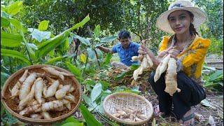 Fresh arrowroot in my homeland and cook food recipe - Polin lifestyle