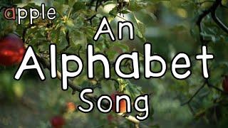 An Alphabet Song  Miss Molly Sing Along Songs