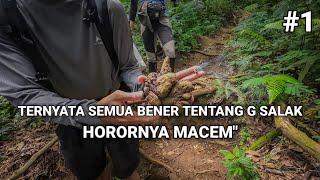 KETEMU FASES PANTHERA PARDUS MELAS - PENDAKIAN GUNUNG SALAK VIA CIMELATI #1