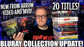 MVD 4K And Bluray COLLECTION Update And SHOWCASE  Arrow Video Eureka 88 Films Synapse And MORE