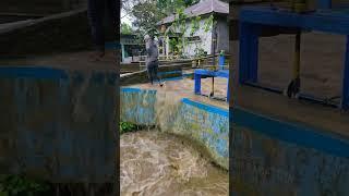 Bocah NEKAT NYEBRANG BANJIR BESAR #shorts #viral #banjir #story