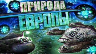 Barotrauma - Биомы и Флора Европы#1